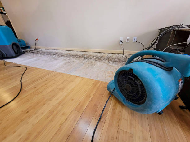 Professional Ceiling Water Damage Repair technician working in Ethel, MS